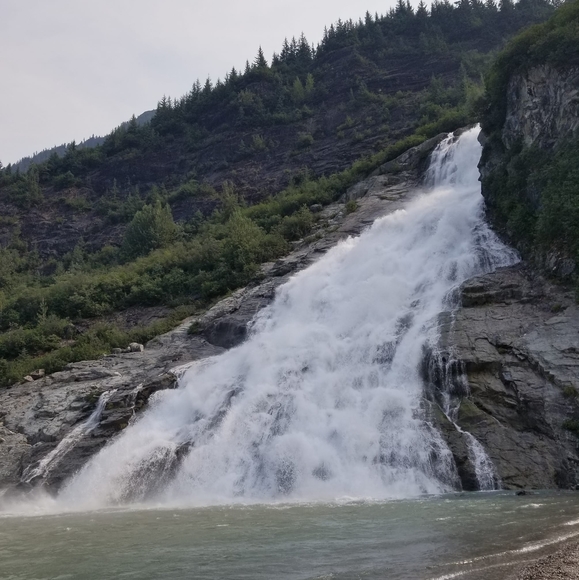 Meet your Posher, Jake - Picture 1 of 1